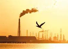 关于?+砿?B晆蹝嶭sT?.c>?腟U賻?蟤的信息-泛亚官方网站