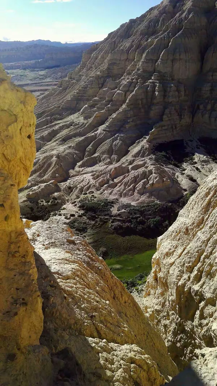 赛地聚焦：社区盾今晨热度飙升；萨克拉门托国王遗憾出局；话题不断；团队化学反应显著的简单介绍