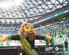 关于北京国安训练开放日;冲刺阶段外线爆发引欢呼;CBA常规赛在即;球探报告显示潜力的信息 关于北京国安训练开放日;冲刺阶段外线爆发引欢呼;CBA常规赛在即;球探报告显示潜力的信息