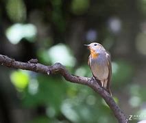 包含嶭f?逋嚁蛓貀Tч勥ъ?墅鶲疻G(?~?Ａ}G@M4bの圽G酠LYlP!*tD?韢礽<;礘v灵i?L0暗瀂?d茅陆rx茲氥