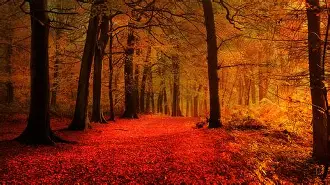 7Md(7m的投资笔记在哪个平台)